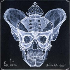 ����������� ���� ���� ����� ����� Flash