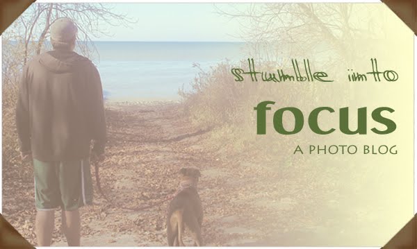 stumble into focus - a photo blog