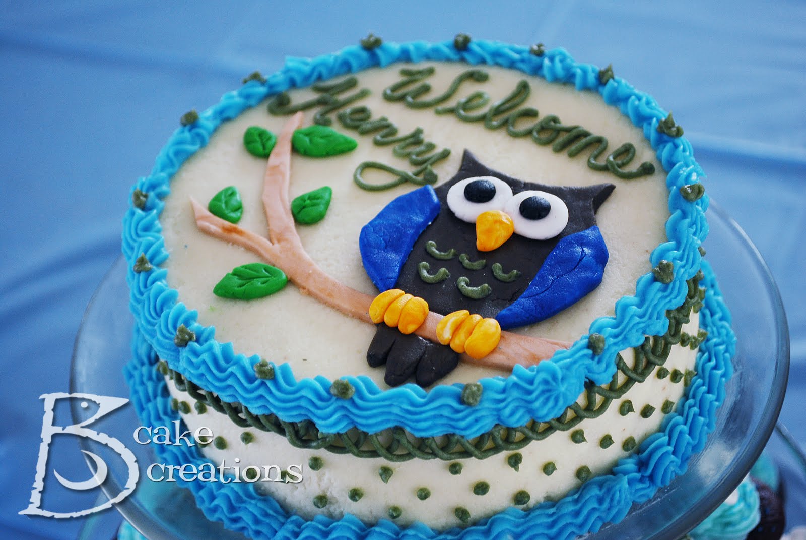 Owl Cake Decorations