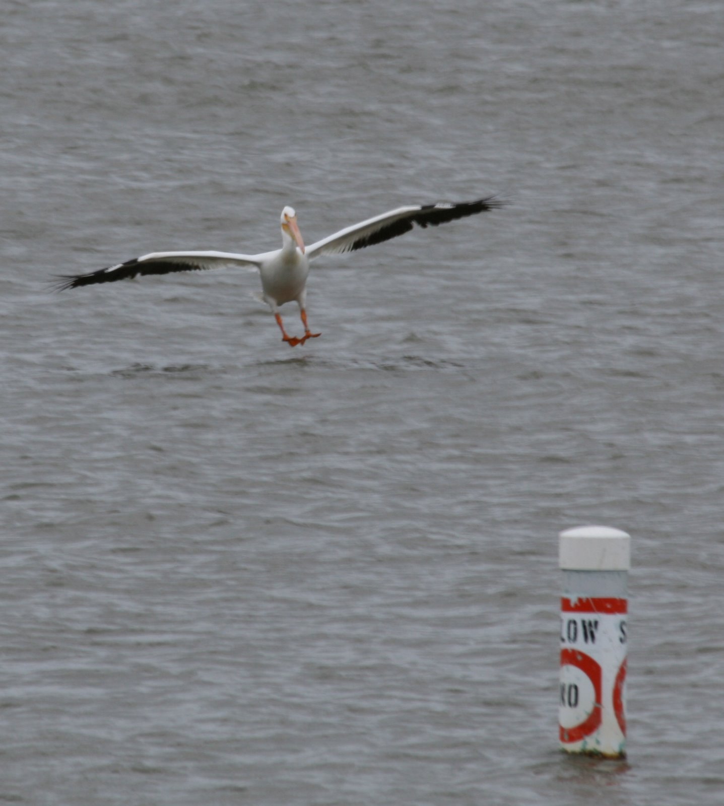 [PelicanLanding.jpg]
