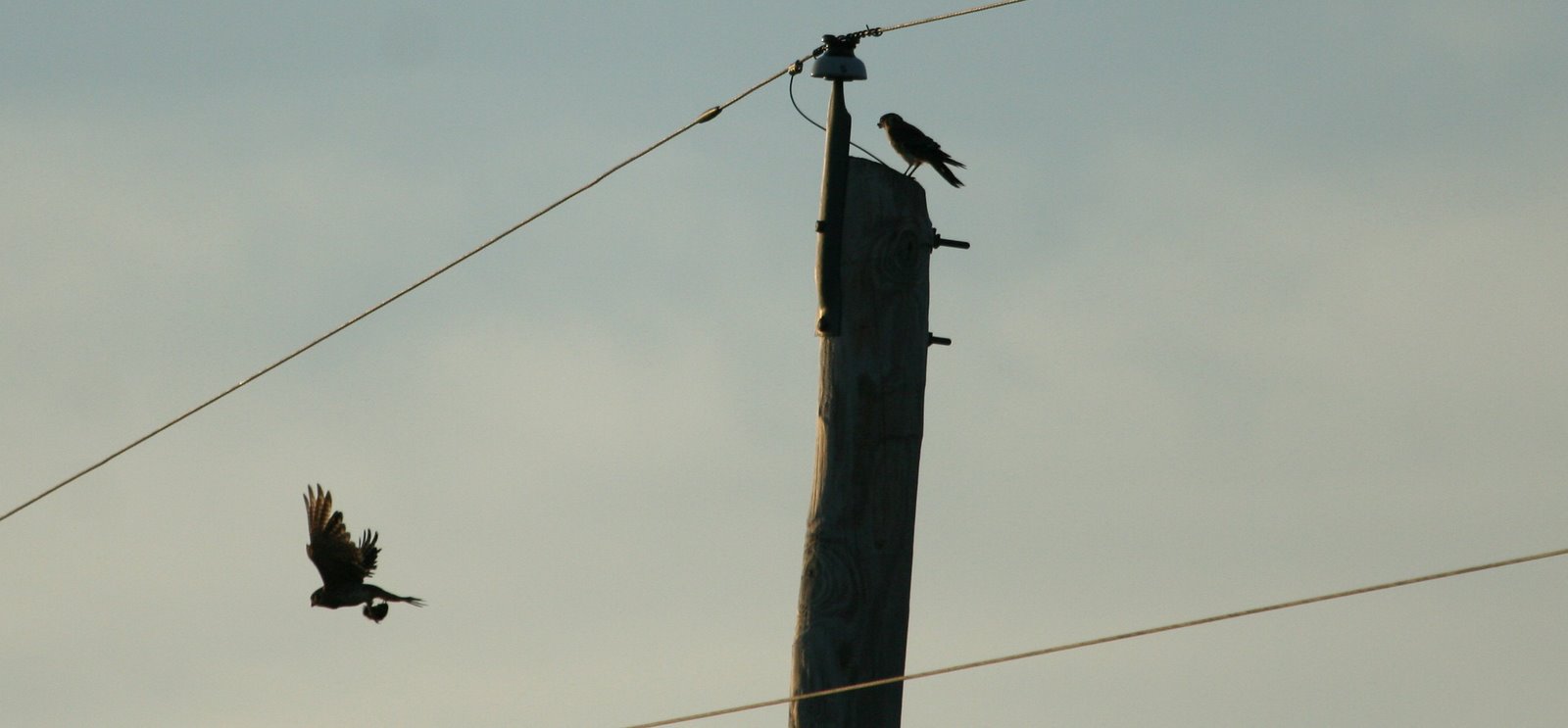 [Breakfastdelivery3.jpg]