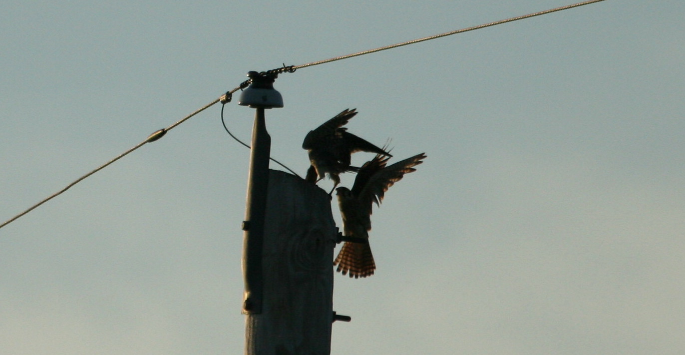 [Breakfastdelivery2.jpg]