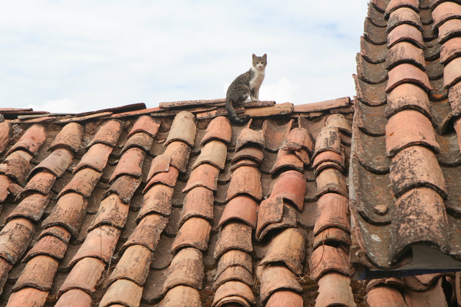 [10+Janelle+493.jpg]