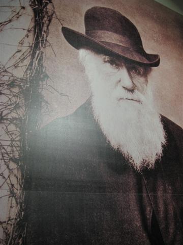 [Darwin2.jpg]