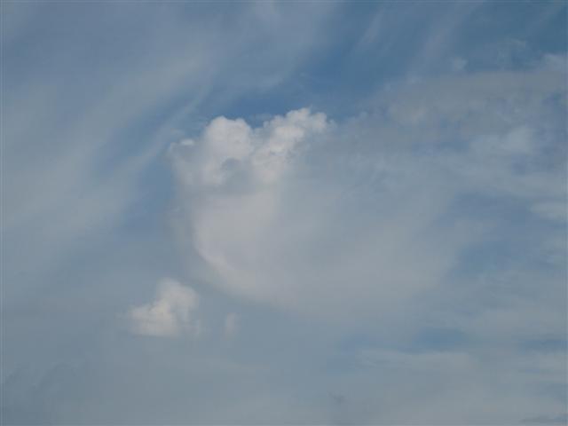 [Imagem+003+(Small).jpg]