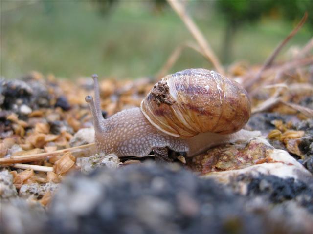 [Imagem+025+(Small).jpg]