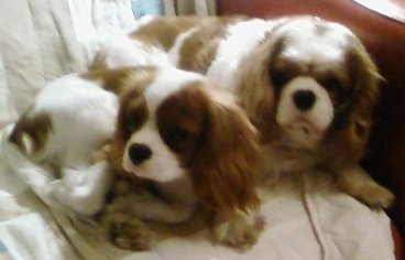 [Foto0307a.jpg]