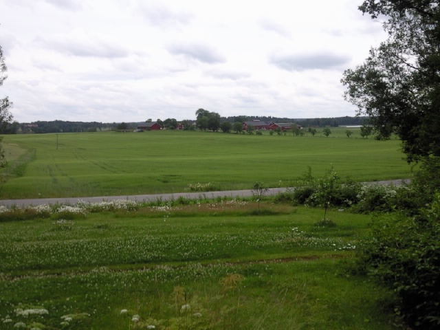 [Foto0493.jpg]