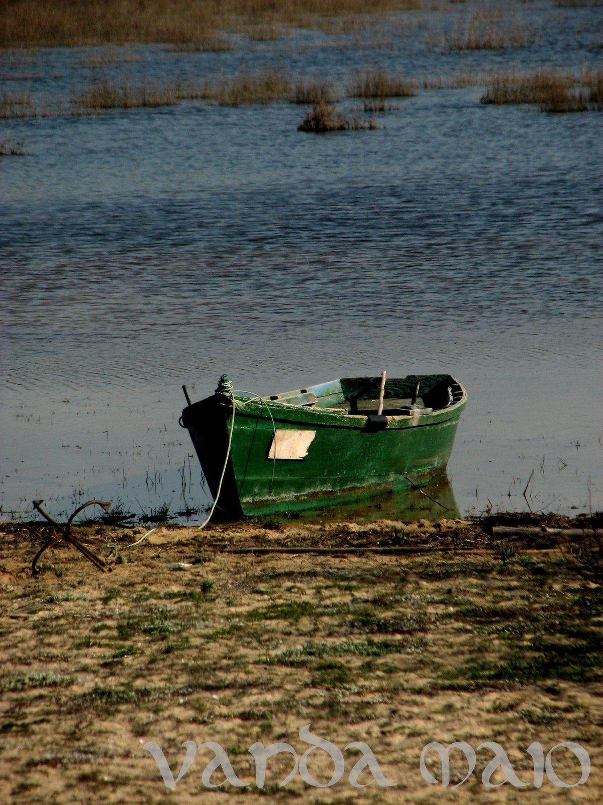 [IMG_5711.JPG]