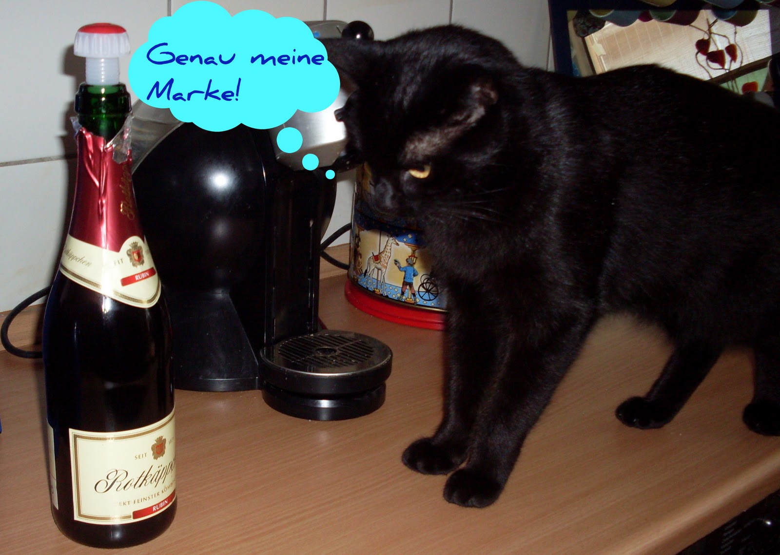 sekt1.jpg