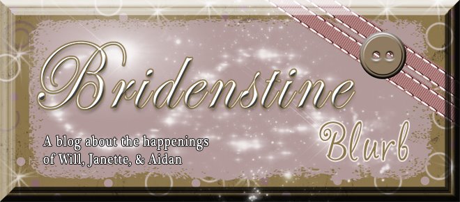Bridenstine Blurb