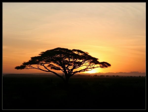 [1459615-African-Sunrise-0.jpg]