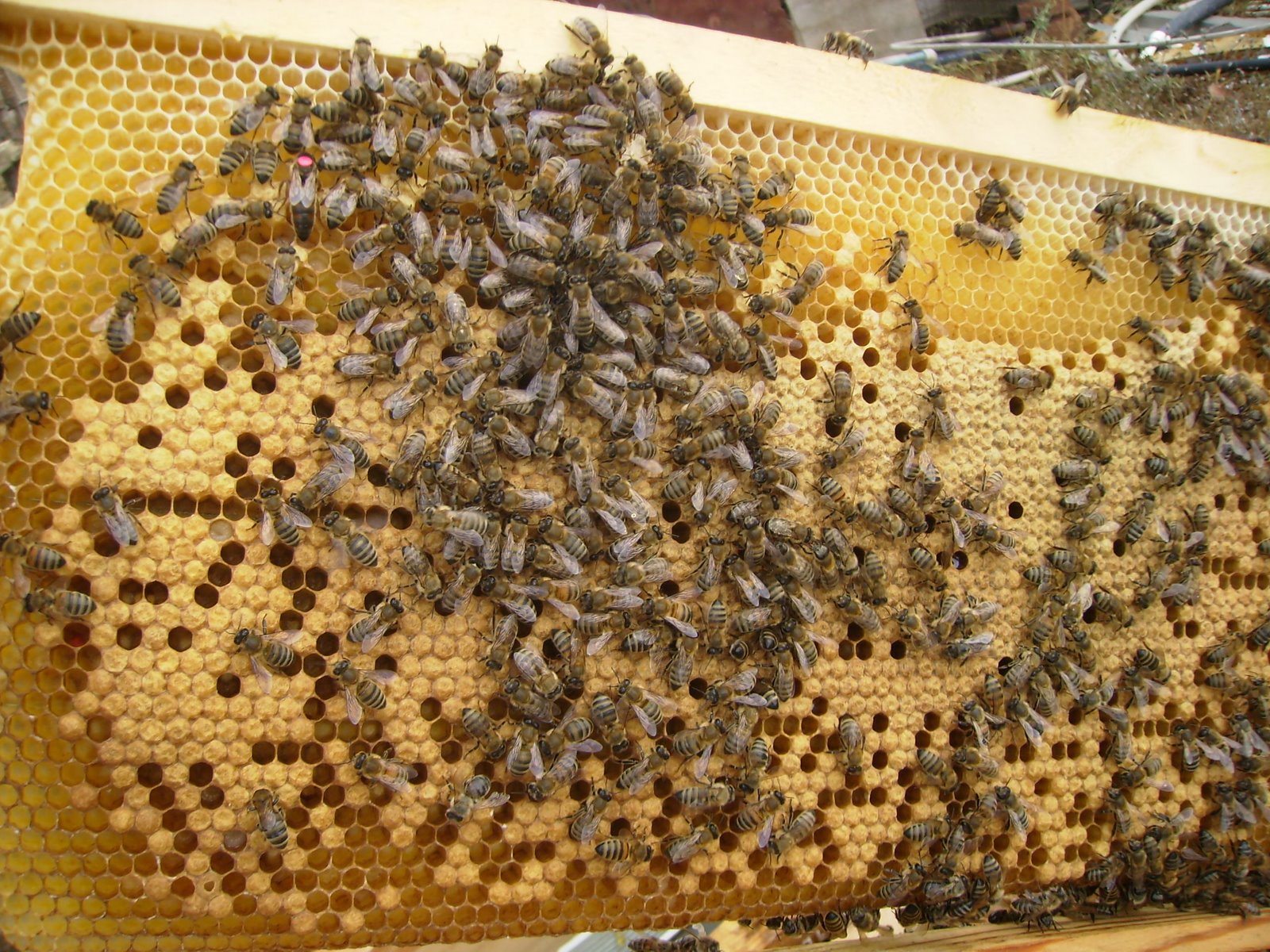 [P7170027.JPG]