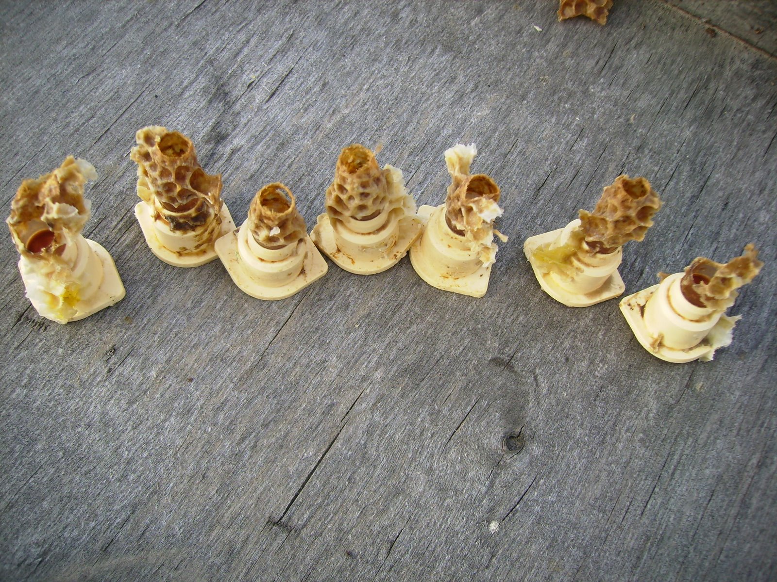 [P5020201.JPG]