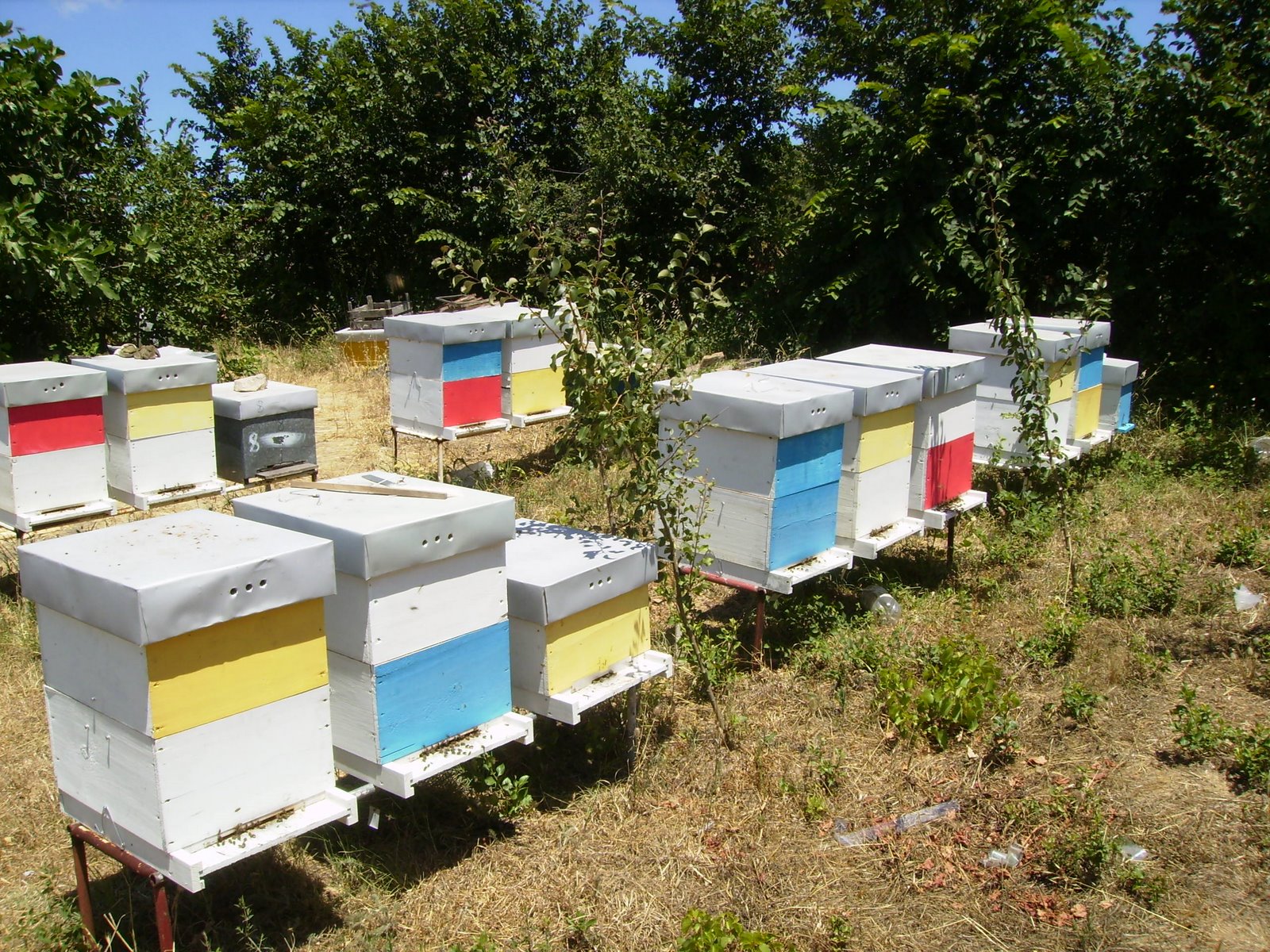 [P7120007.JPG]