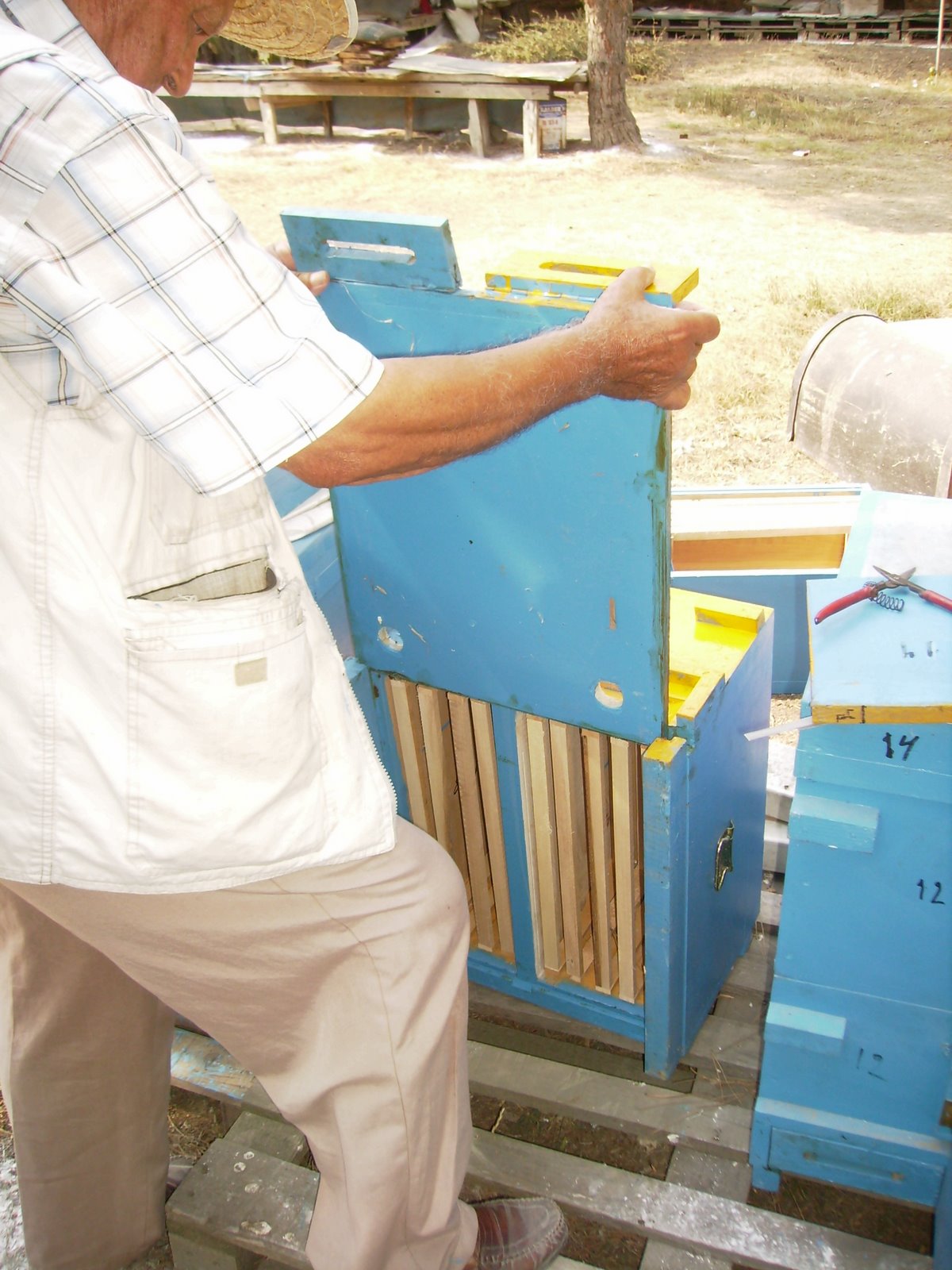 [P8290143.JPG]