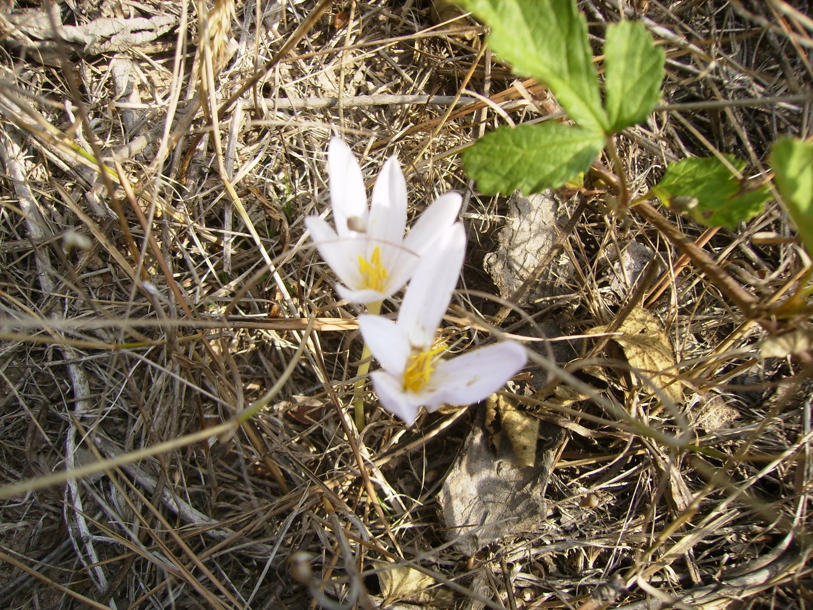 [P9130016.JPG]