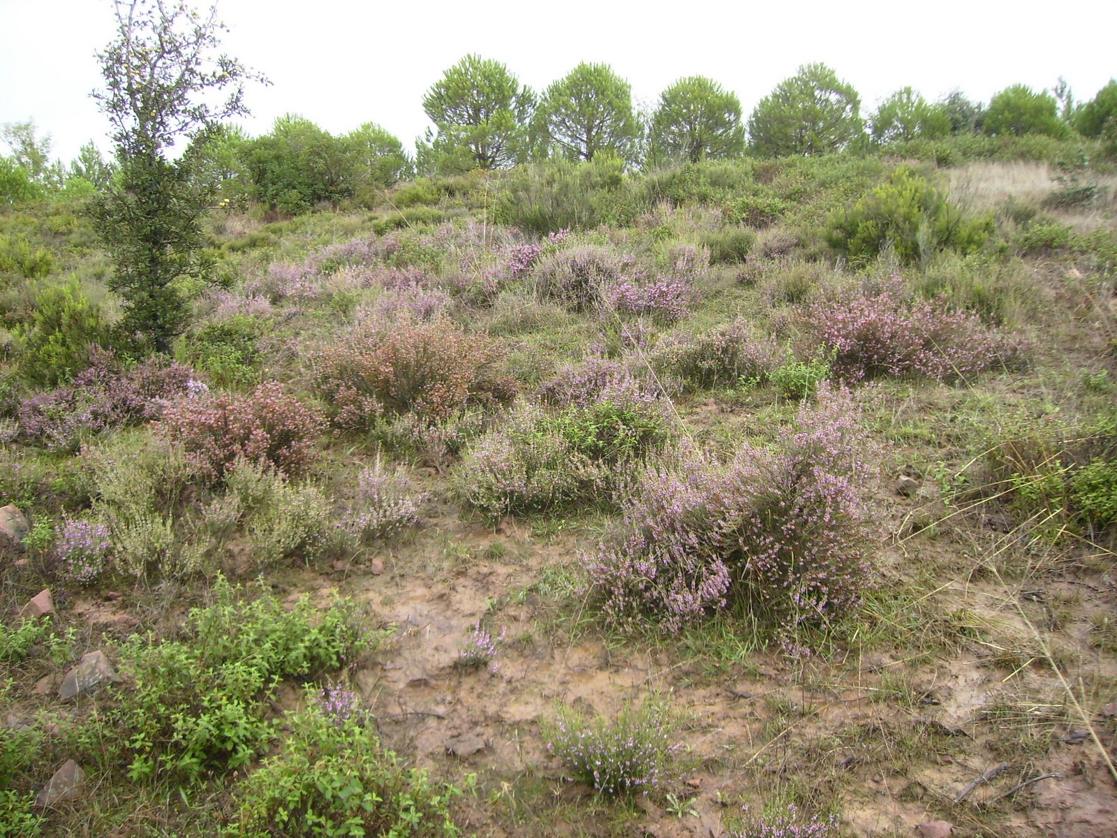 [P9190012.JPG]