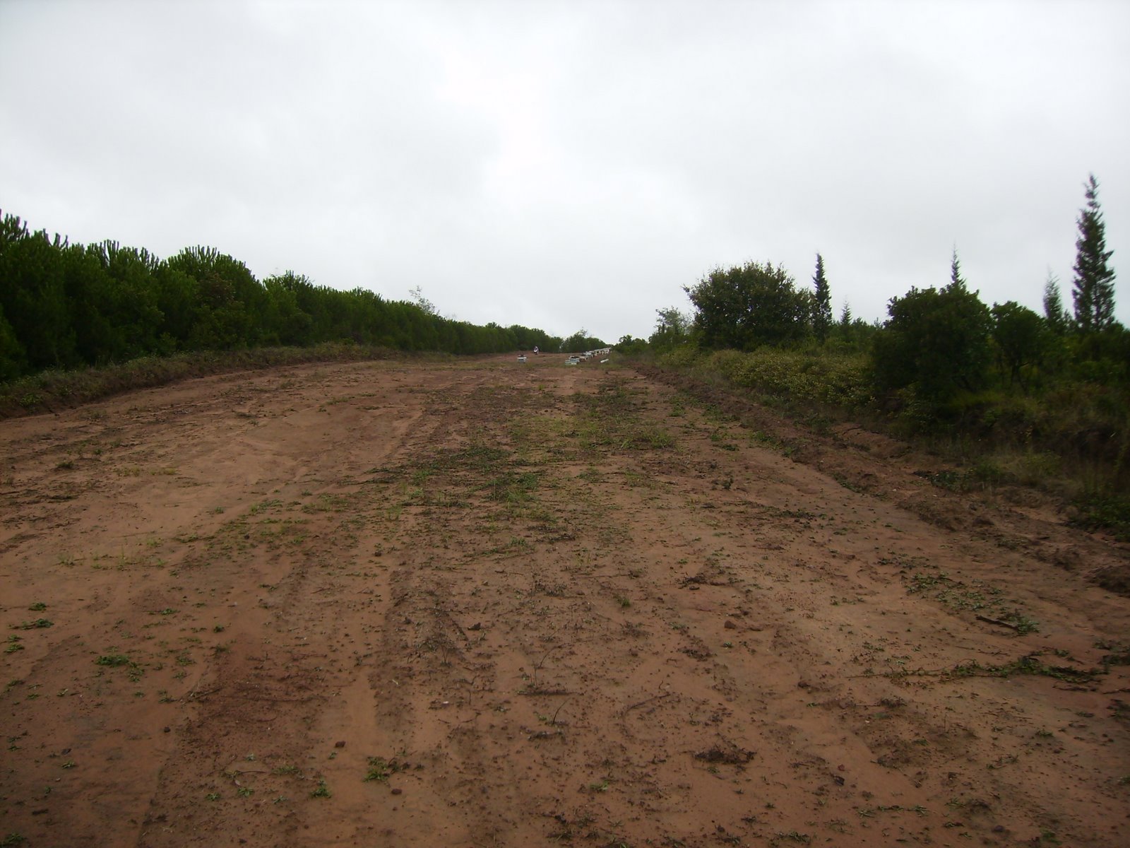 [P9190003.JPG]
