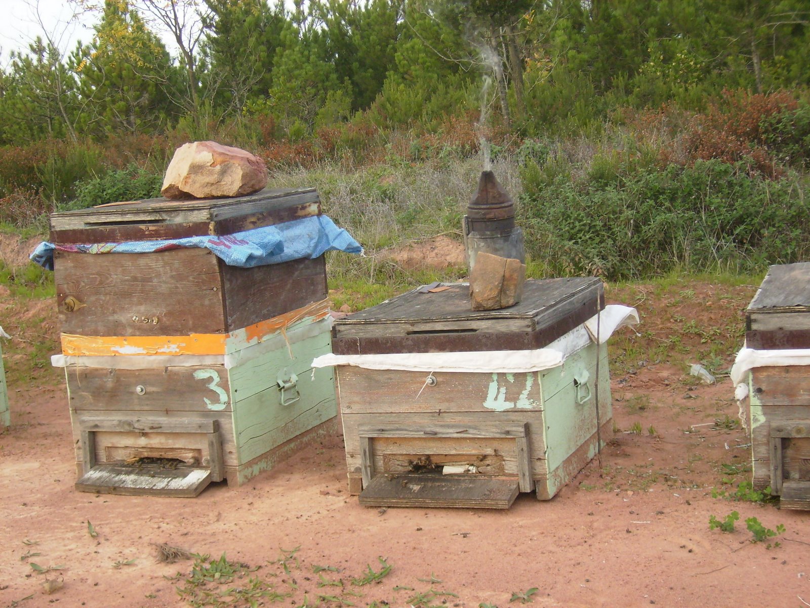 [PA290026.JPG]