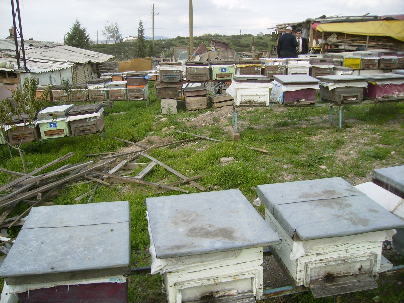 [PB070053.JPG]