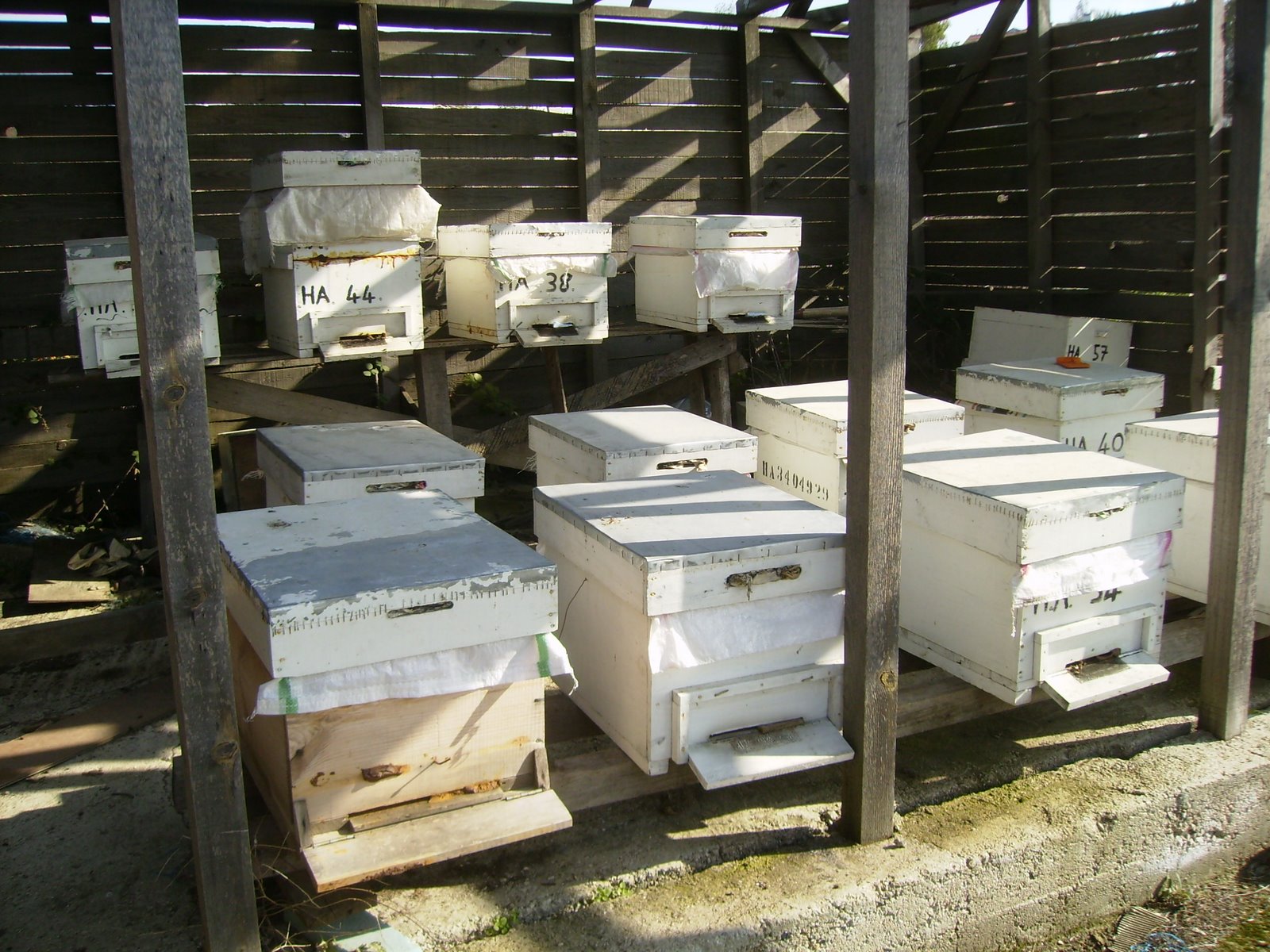 [PB100013.JPG]