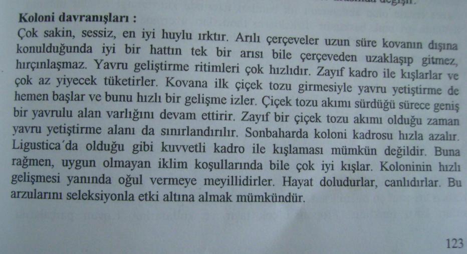 [krniyol02.JPG]