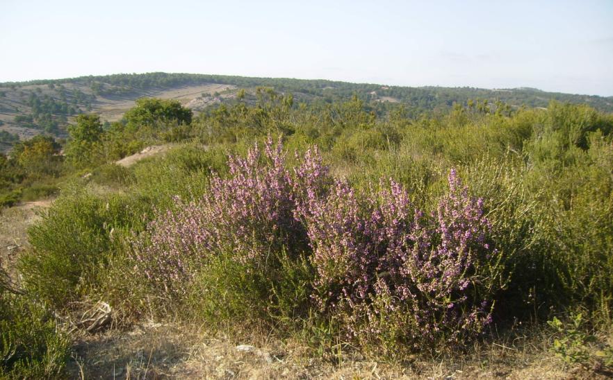[30agustos200902.JPG]