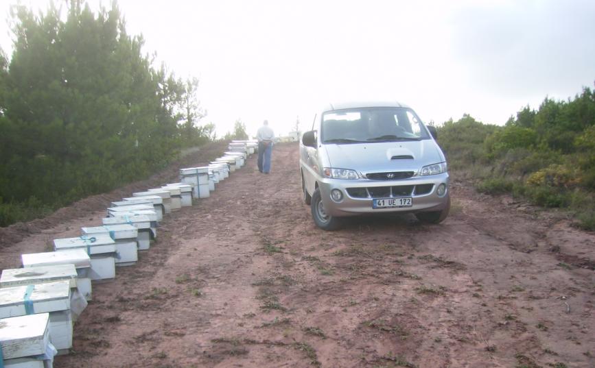 [10eylÃ¼l200903.JPG]