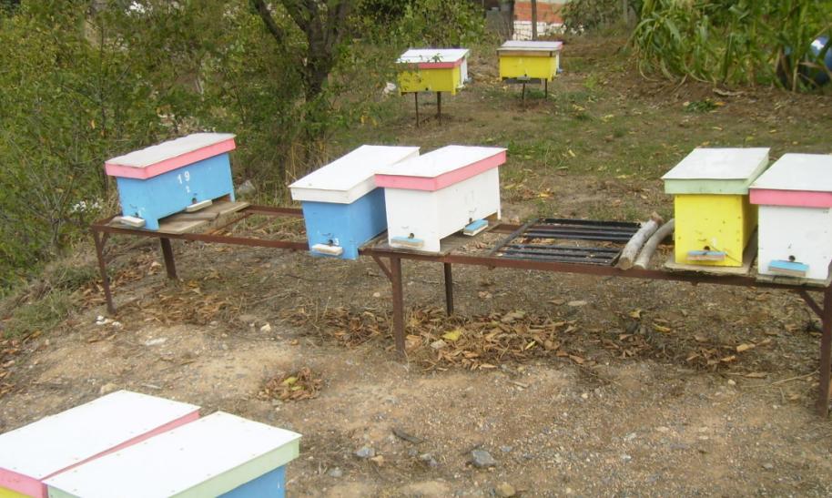 [15ekim200909.JPG]