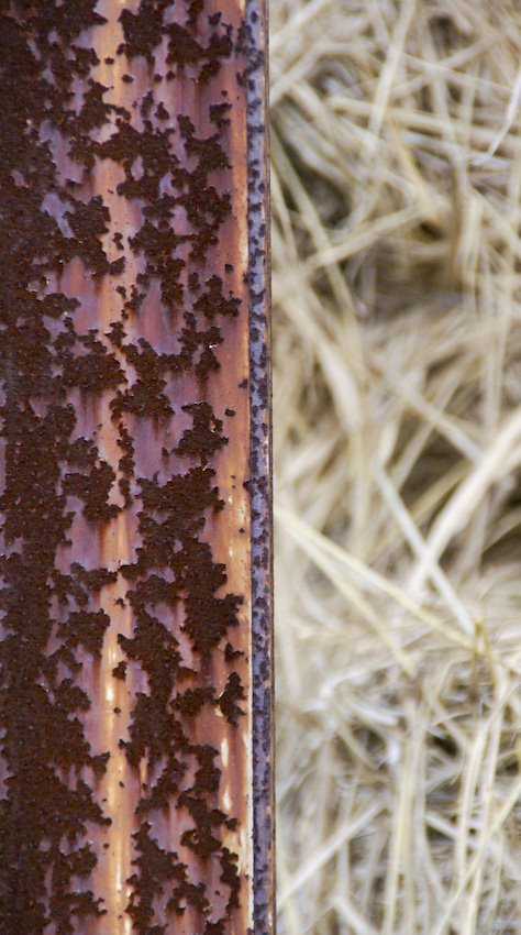 [WalkWithAsa+(6+of+10).jpg]