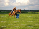 Barrel Racing