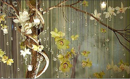 [crystal+trees.jpg]