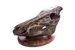 Bronze painted  hog head