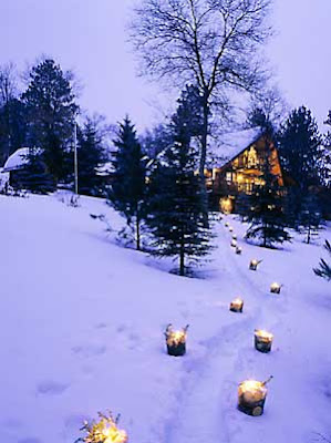Outdoor Christmas Lights photo