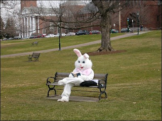 White Easter bunny sit in the garden(park) in the bench and reading a book hot gallery