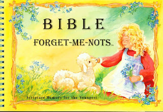Bible Forget-me-notes with sheep and small girl wearing red and white dress with flowers and photoframe background image