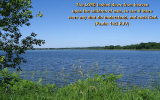 Free lake(river) background nature image with Psalm 14 2 KJV verse as The LORD looked down from heaven upon the children of men, to see if there where any that did understand, and seek God image
