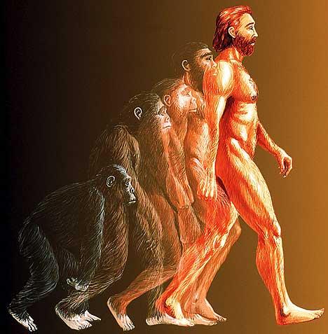 think to believe: A Summary of My Beliefs about Evolution and Creation think to believe: A Summary of My Beliefs about Evolution and Creation