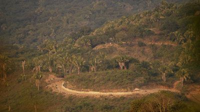 [nayarit1.jpg]