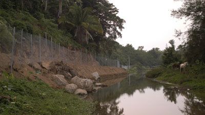 [nayarit3.jpg]