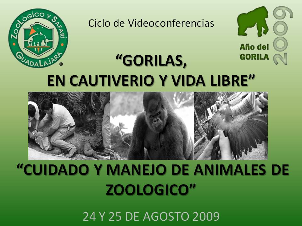 [Videoconferencias-716142.jpg]
