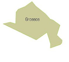 GROSSOS