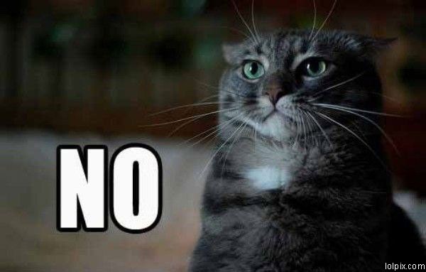 [Funny_Pictures_6454.jpg]