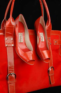 Zapatos  y bolso Tiffany colección 2008