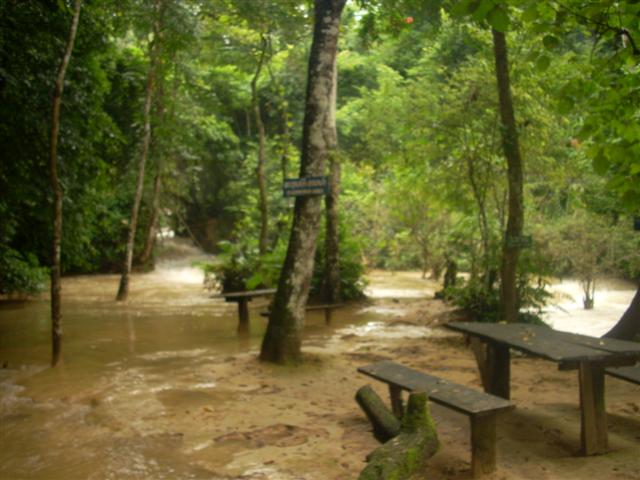 [DSCN0865+(Small).JPG]