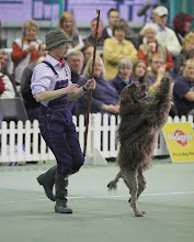 Richard and Disco a portuguese water dog