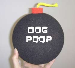 [dog-poop.jpg]