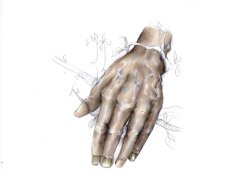 [hand.jpg]
