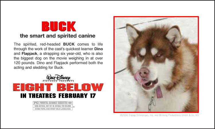 Eight Below Dogs Names With Pictures Eight Below Dogs Names With Pictures